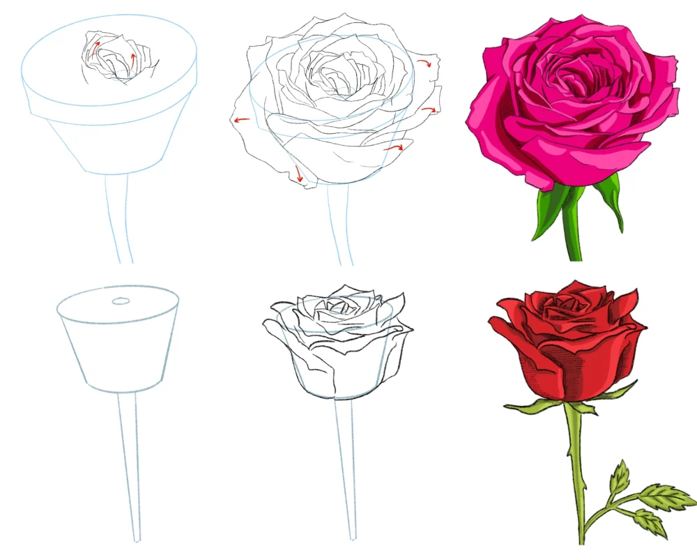Cómo dibujar una rosa - Aprende 3 Dibujos de rosas paso a paso